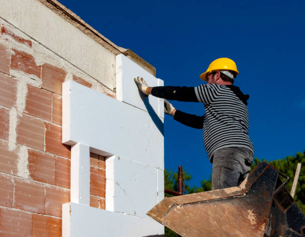 Best Insulation Contractors for Homes  in Dresden, TN